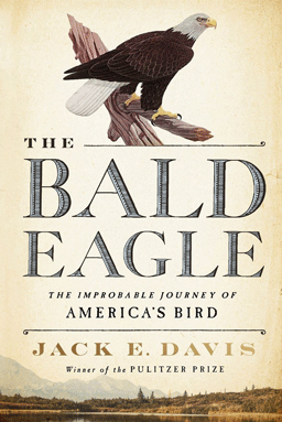 The Bald Eagle